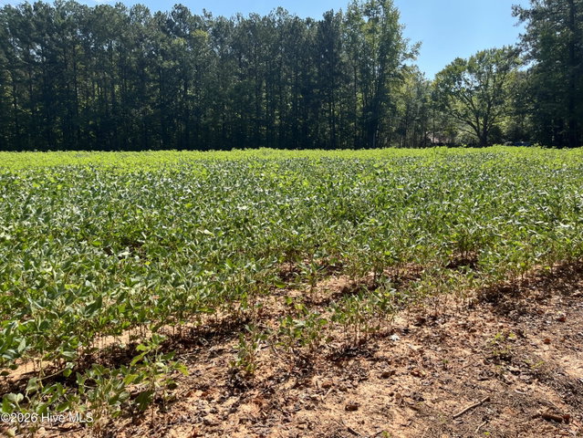 9011 Pleasant Grove Church Road, Spring Hope, NC 27882