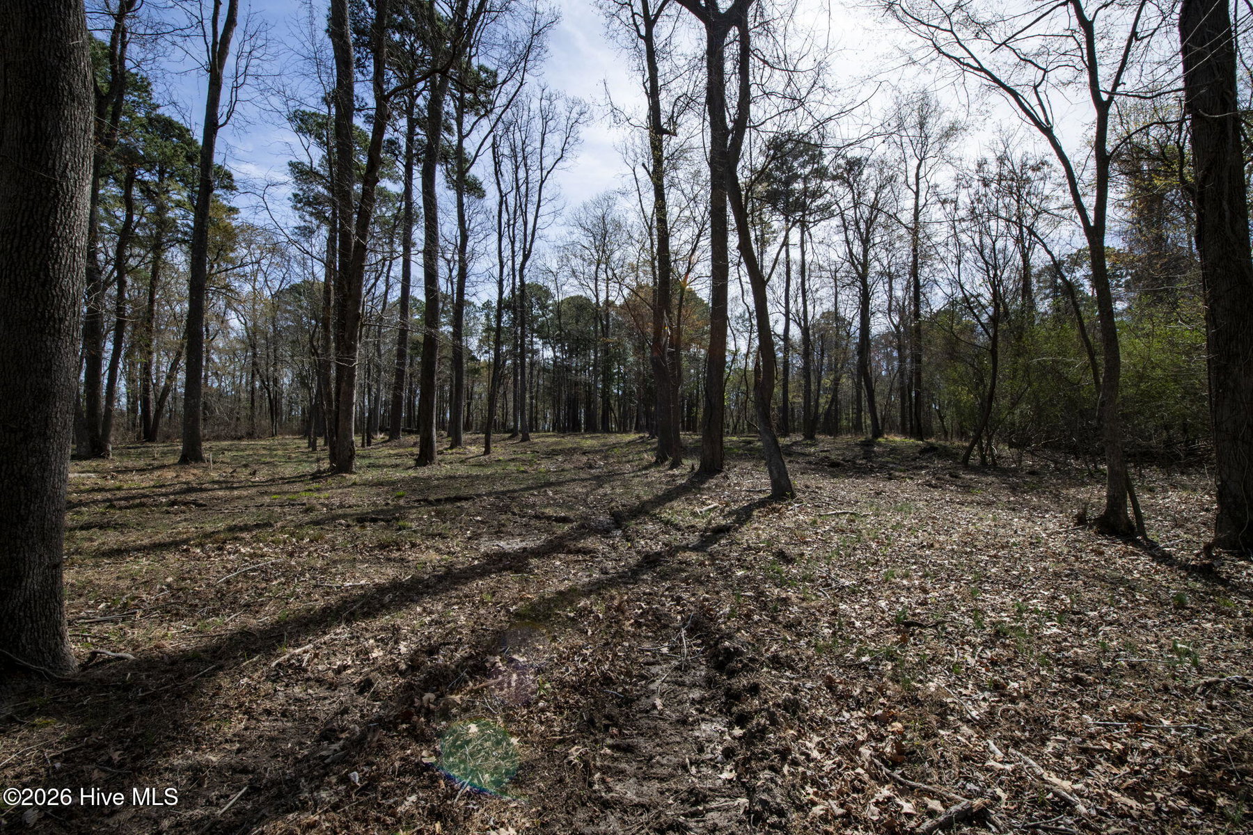 Lot 6 6 Peninsula Shores Way, Hertford, NC 27944 — photo 5
