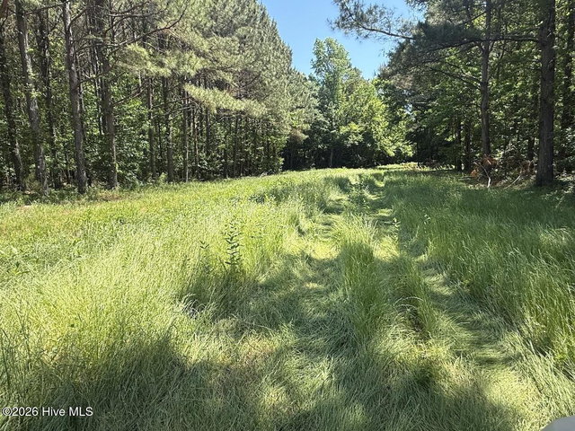0 Kirkman Road, Robersonville, NC 27871 — photo 27