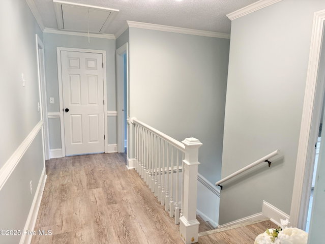 703 Daventry Drive, Greenville, NC 27858 — photo 52