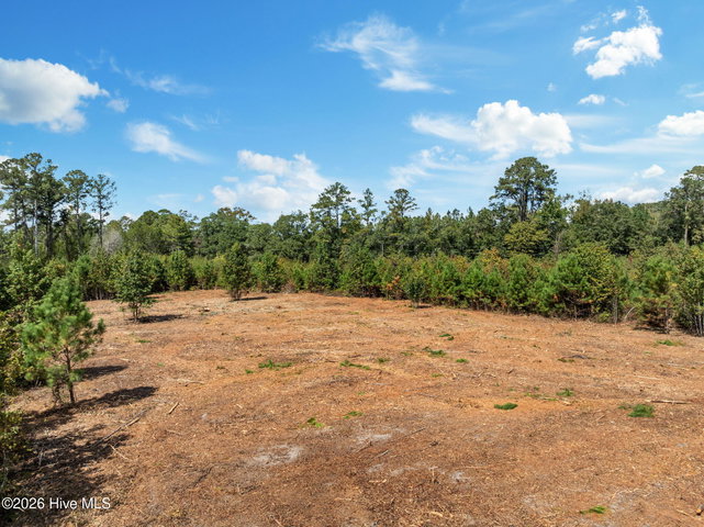 Lot 2 2 Jolly Ole Field Road, Grifton, NC 28530 — photo 13