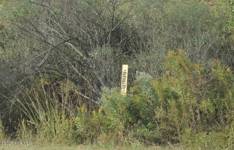 1264 Us Hwy 17, Elizabeth City, NC 27909 — photo 27