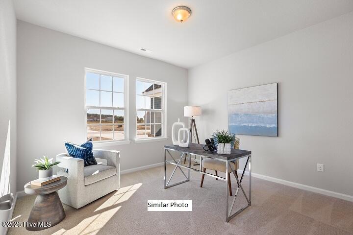 100 Apple Court, Elizabeth City, NC 27909 — photo 17