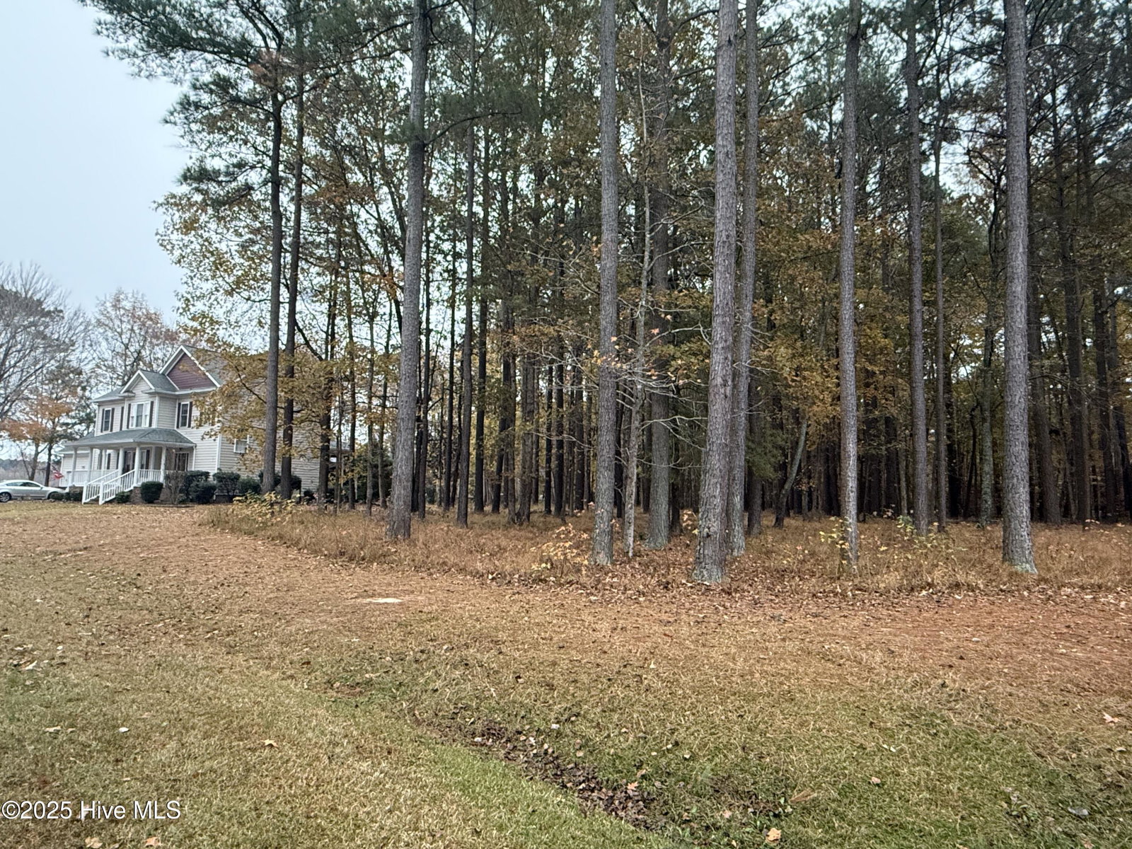 13 Mattaponi Drive, Hertford, NC 27944 — photo 3