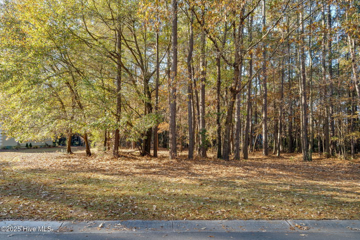 266 102 Red Fox Run Drive image