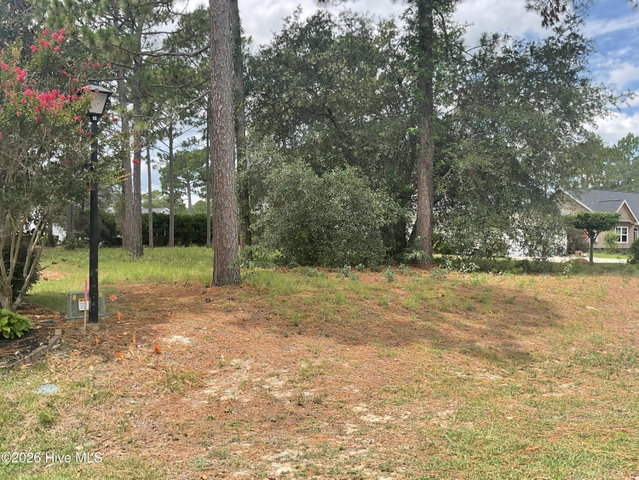 205 45 Planters Ridge Drive image