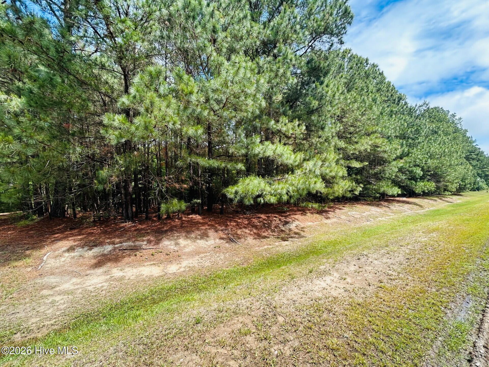 38 38 Calm Harbor Street, Hertford, NC 27944 — photo 3