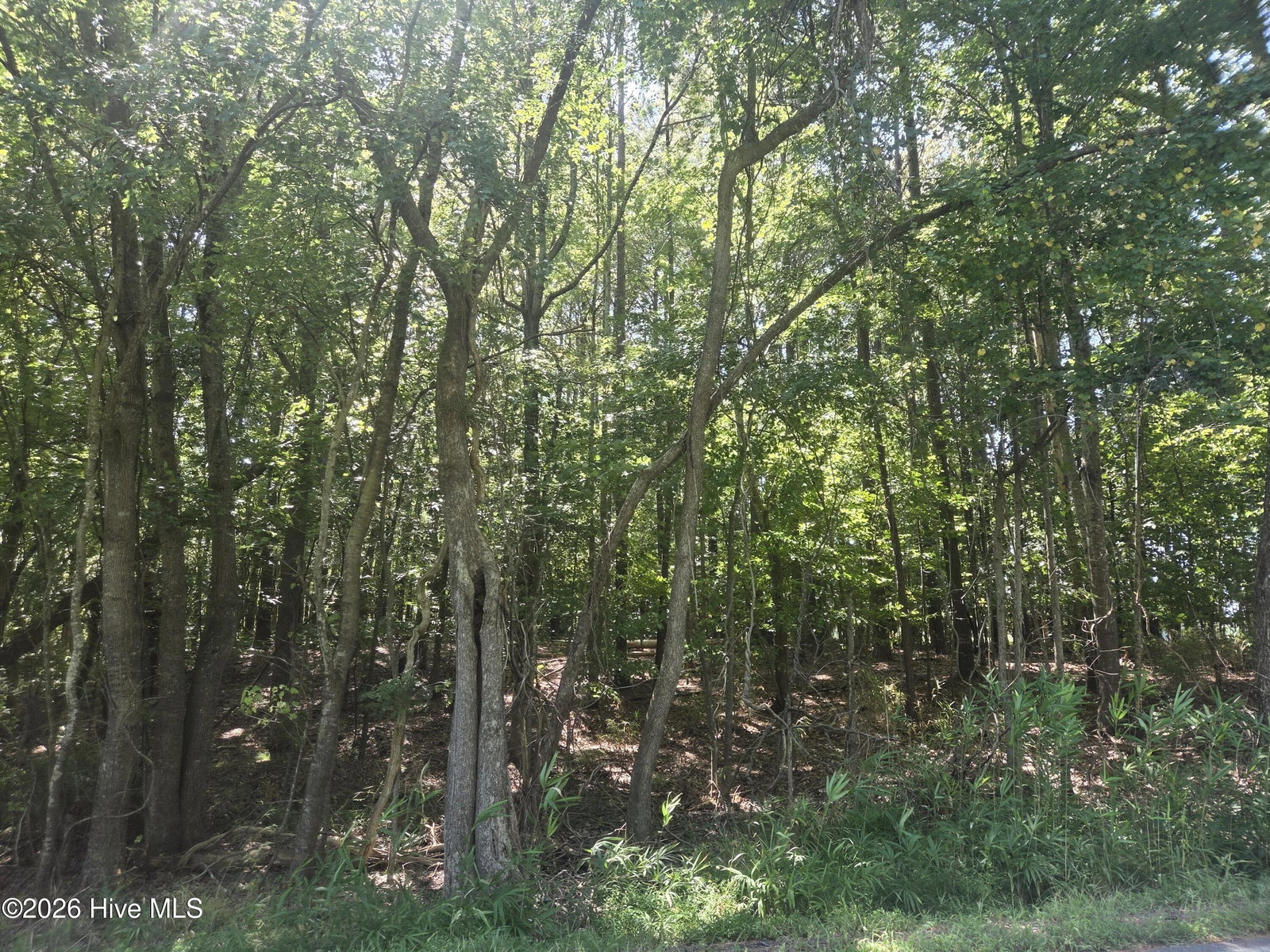 000 Camp Cale Road, Hertford, NC 27944 — photo 2