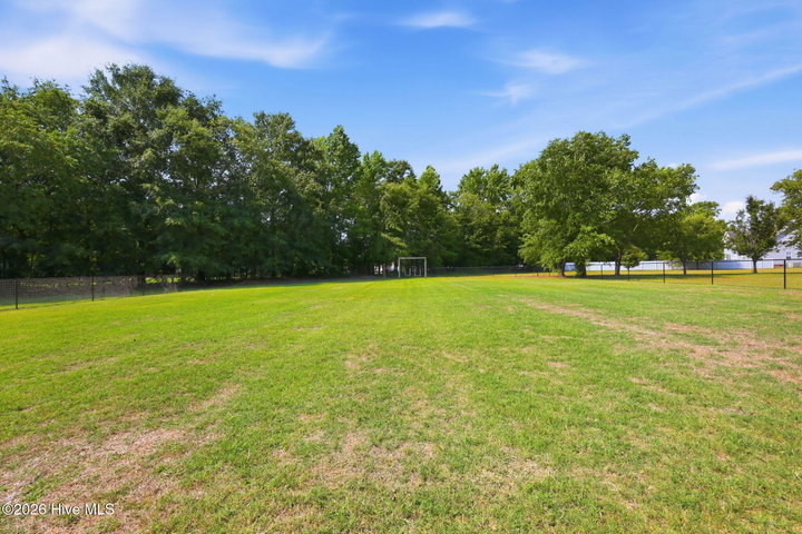 1256 Naples Drive, Greenville, NC 27858 — photo 11