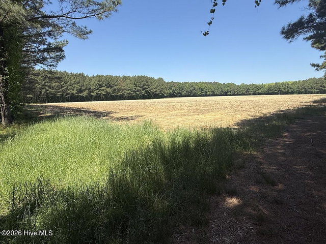 0 Kirkman Road, Robersonville, NC 27871 — photo 14