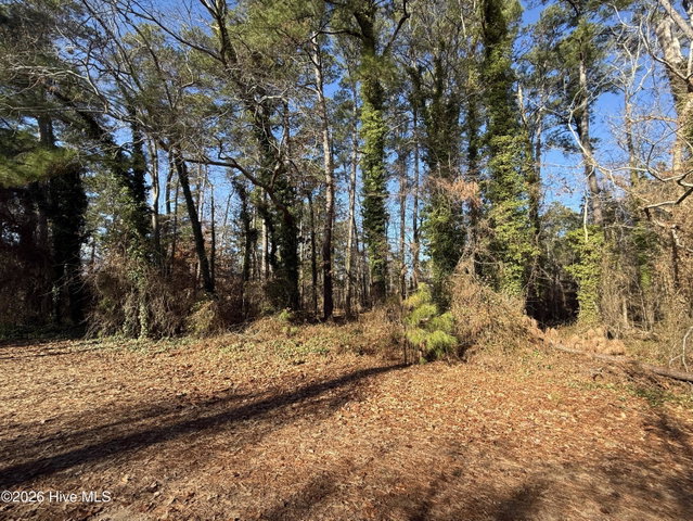 0 Alexander Lane, Williamston, NC 27892 — photo 9