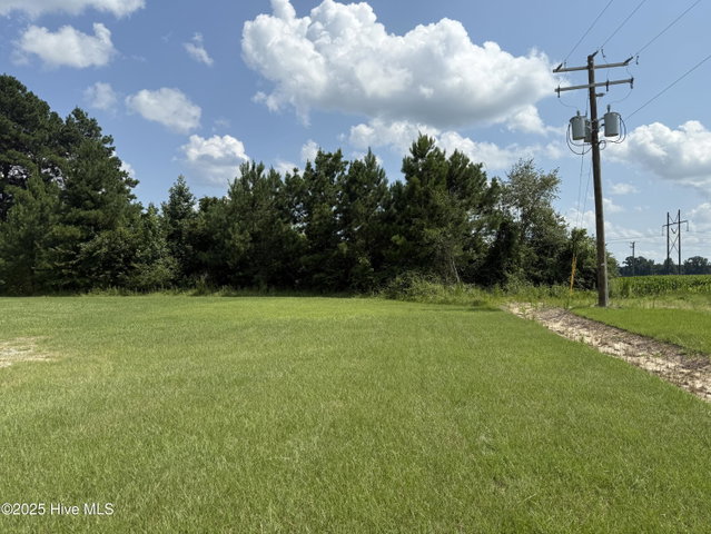 1985 W Main Street, Williamston, NC 27892 — photo 8