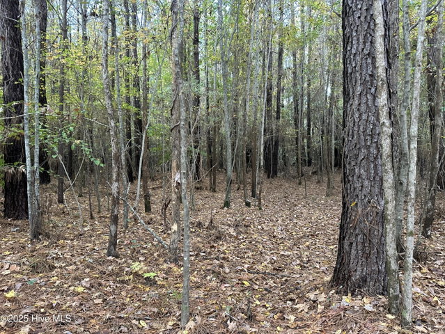 Lot 95-77 P95-77 Crocker Hill Road, Elizabeth City, NC 27909 — photo 12