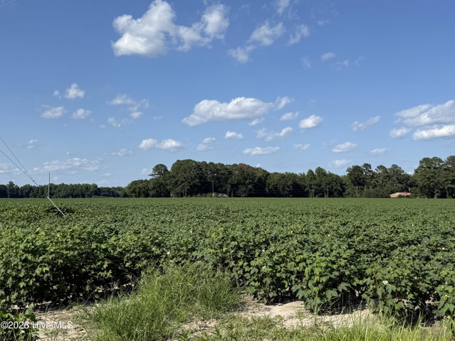 3085 Fire Dept Road, Williamston, NC 27892 — photo 13