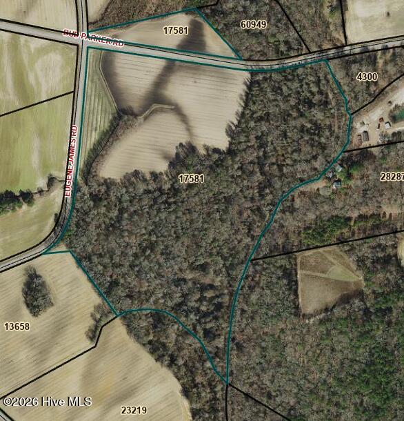 4221 Bud Parker Rd Road, Greenville, NC 27834 — photo 4