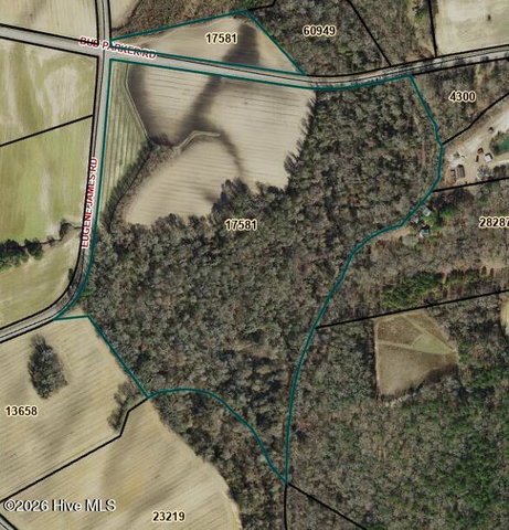 4221 Bud Parker Rd Road, Greenville, NC 27834 — photo 4