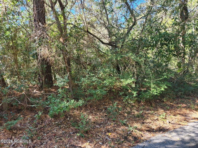 52 Fort Holmes Trail image