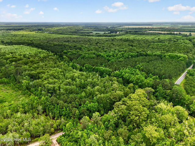 Tbd Pea Ridge Road, Roper, NC 27970 — photo 23
