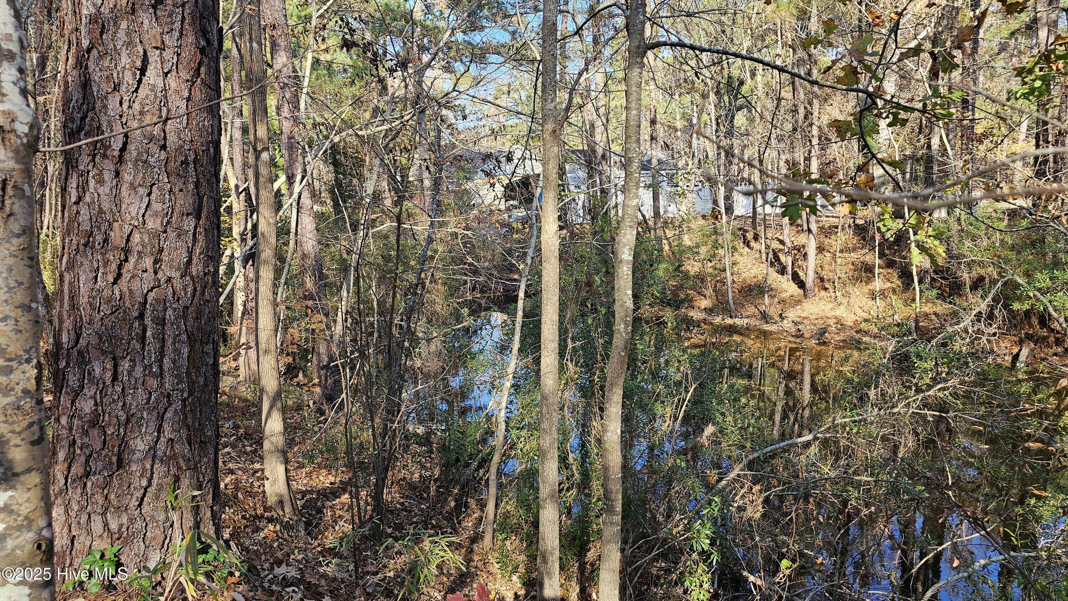 184 26F Shady Lane, Hertford, NC 27944 — photo 5