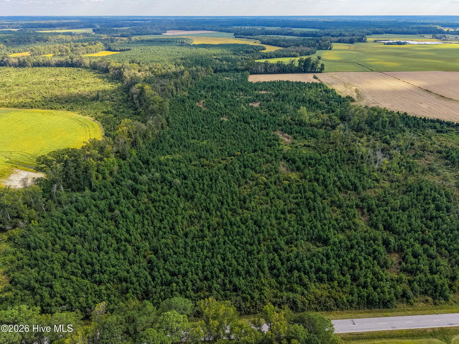 Tract 4 Bethlehem Church Road, Tarboro, NC 27886 — photo 5