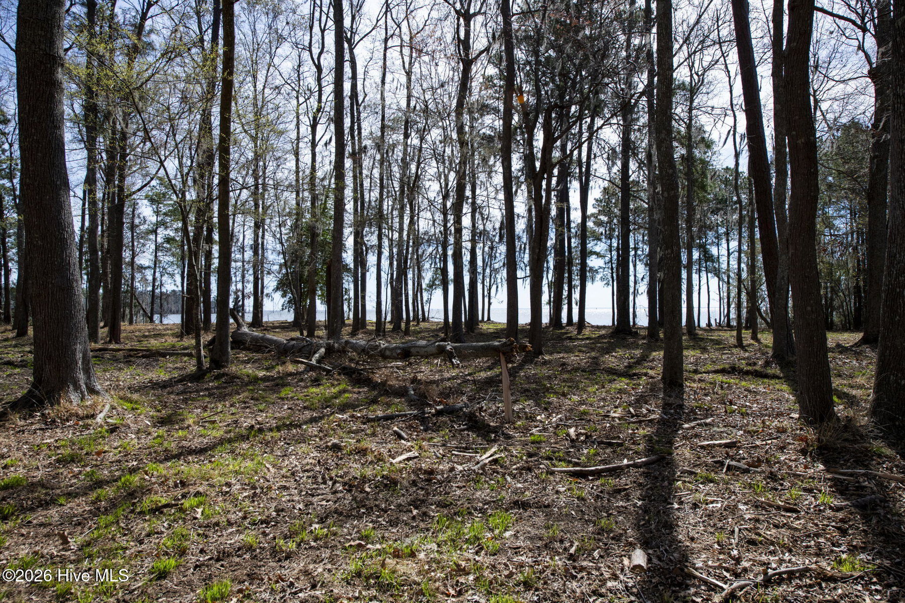 Lot 6 6 Peninsula Shores Way, Hertford, NC 27944 — photo 2
