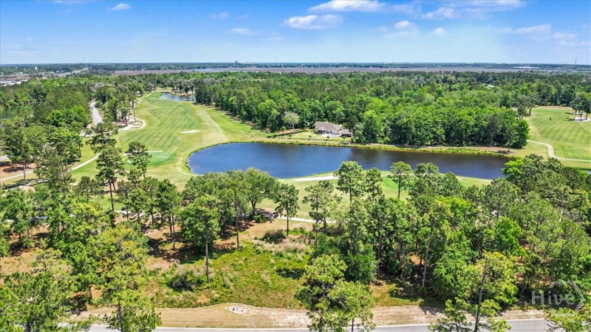 Lot 24 Blue Heron — photo 4