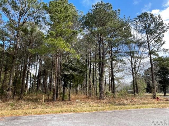 0 NA New Road, Columbia, NC 27925 — photo 3