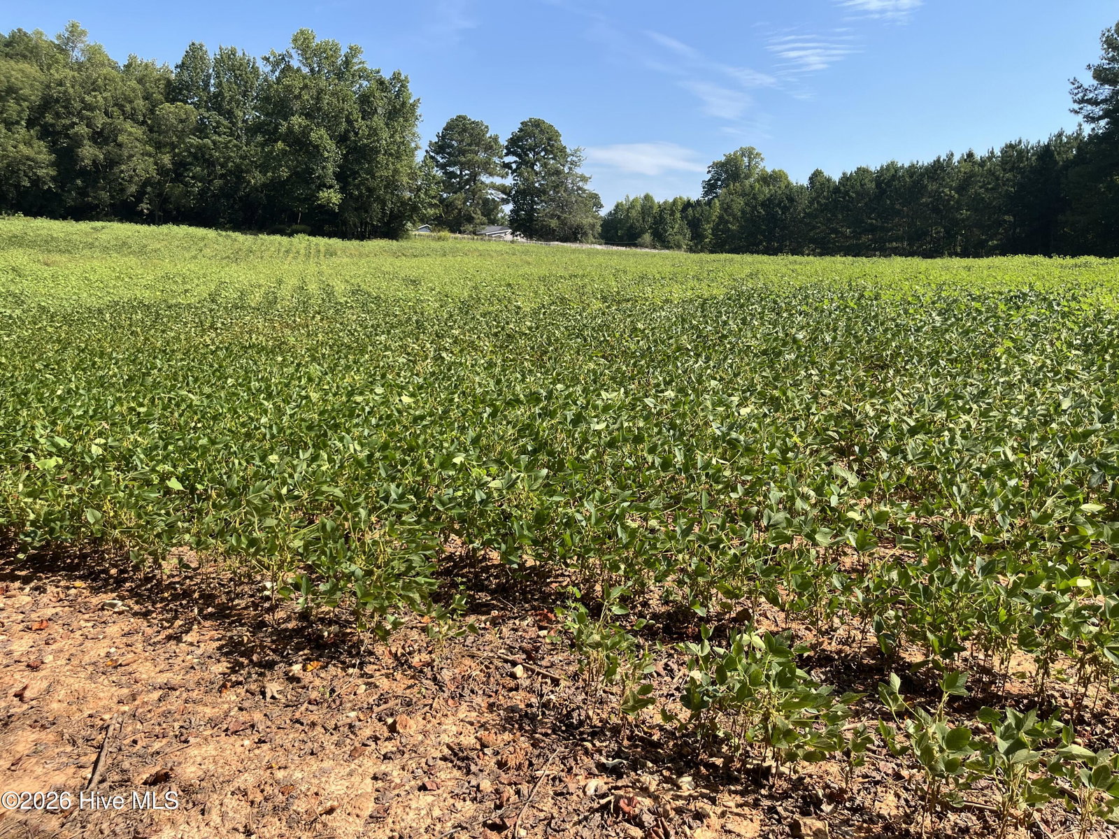 9011 Pleasant Grove Church Road, Spring Hope, NC 27882 — photo 2