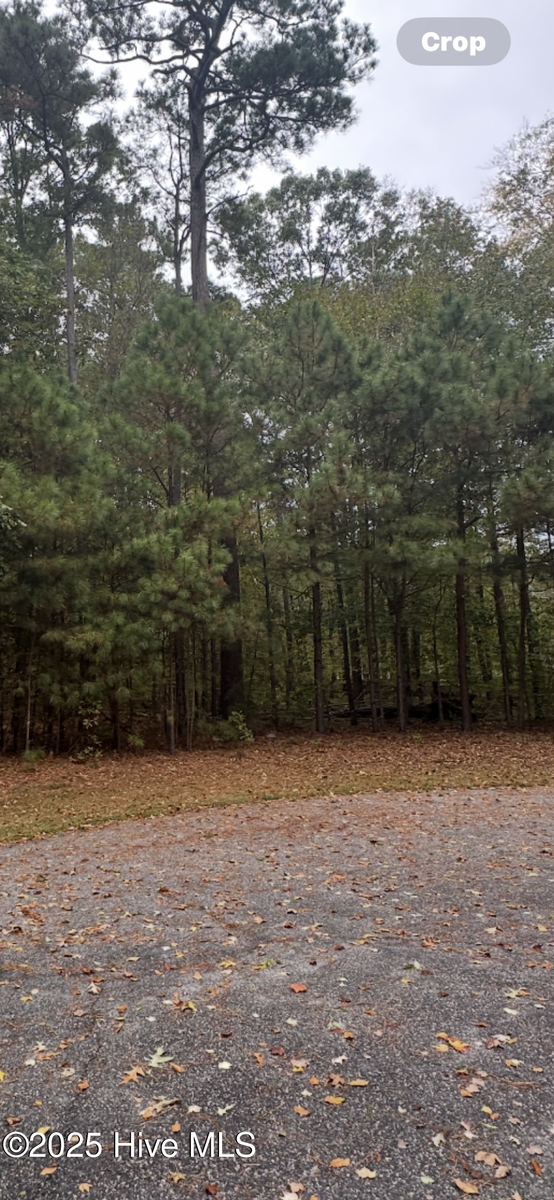 14 Broad River Drive, Hertford, NC 27944 — photo 3