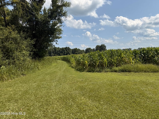 1985 W Main Street, Williamston, NC 27892 — photo 11