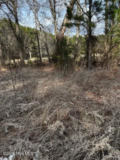362 Sandy Cross Road, Belvidere, NC 27919 — photo 3