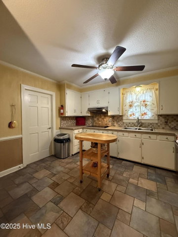903 E Woodlawn Drive, Williamston, NC 27892 — photo 27