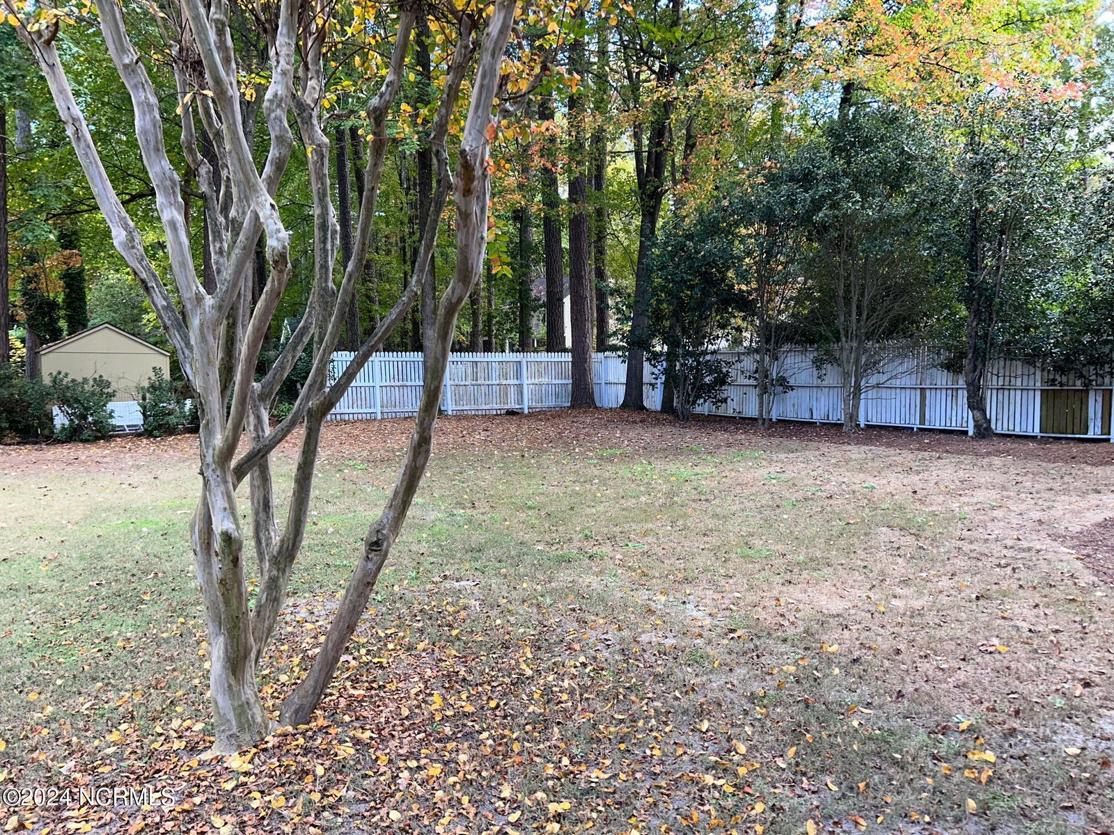 203 Wesley Road, Greenville, NC 27858 — photo 4