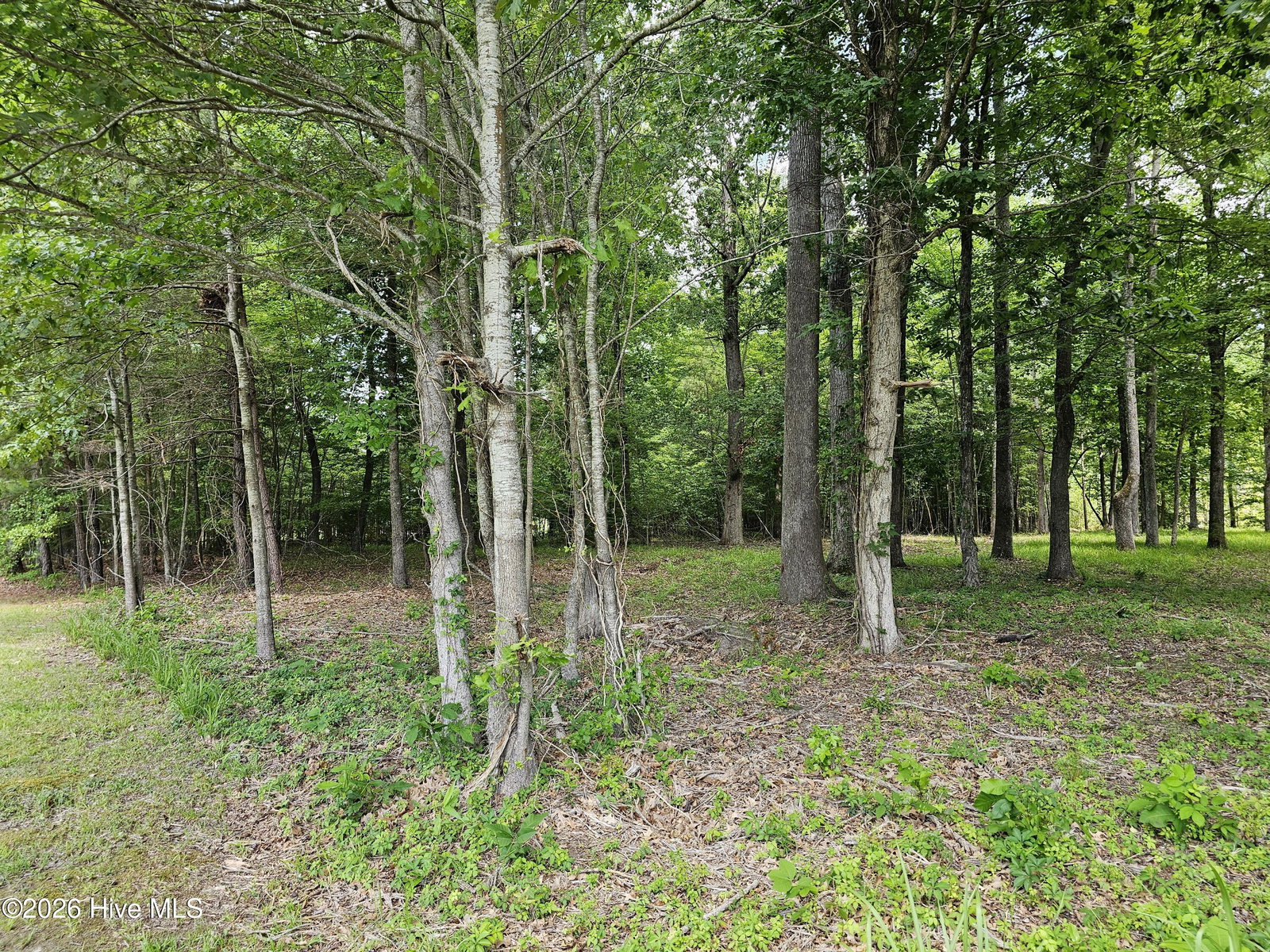 Lot 58 58 See View Lane, Hertford, NC 27944 — photo 3
