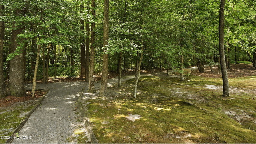 3709 Cattail Lane, Greenville, NC 27858 — photo 44