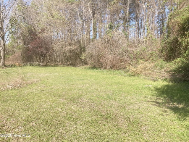1586 Gum Swamp Church Road, Greenville, NC 27834 — photo 99