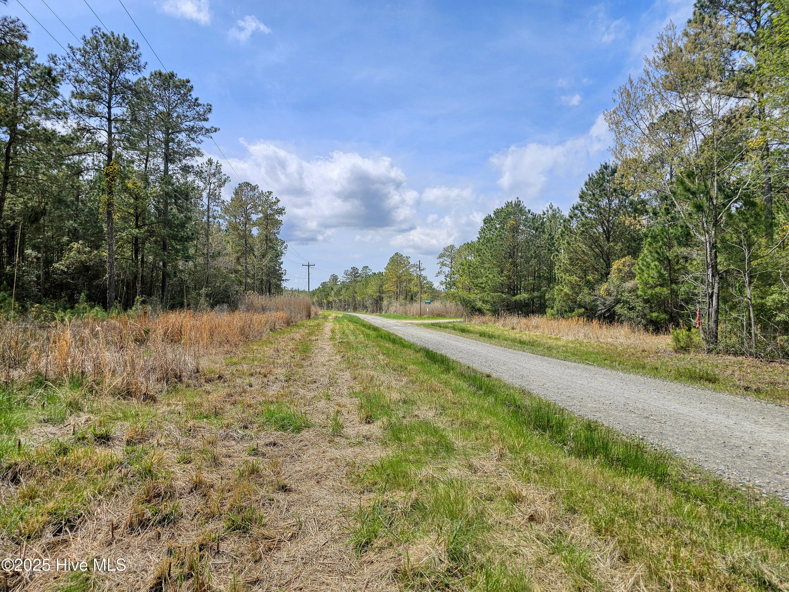 22 22 Sandy Point Road, Scranton, NC 27875 — photo 4