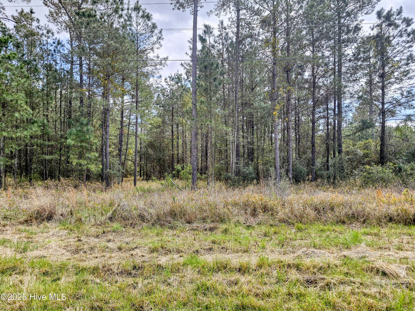 20 20 Sandy Point Road, Scranton, NC 27875 — photo 5