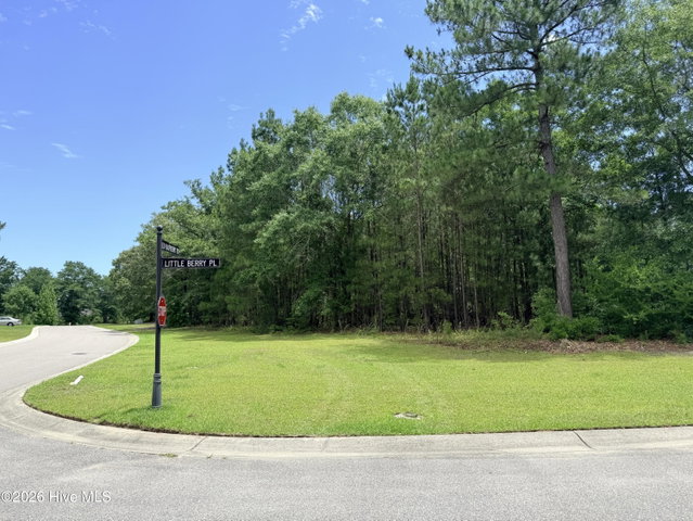 3702 25 Little Berry Place NE image