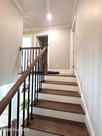 3709 Cancion Street, Greenville, NC 27858 — photo 32