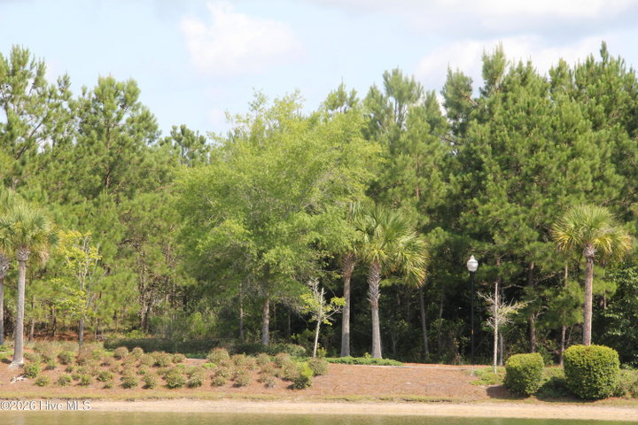 3294 96 Arundul Hill SW image
