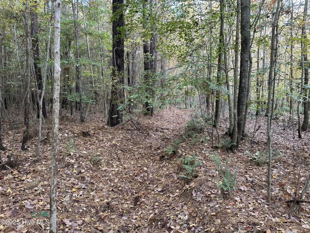 Lot 95-77 P95-77 Crocker Hill Road, Elizabeth City, NC 27909 — photo 11