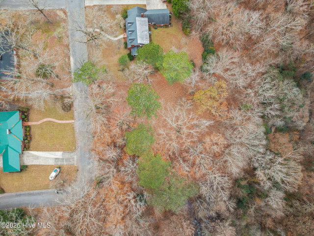 203 W Woodlawn Drive, Williamston, NC 27892 — photo 11