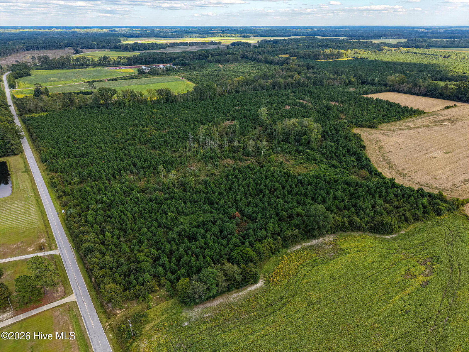 Tract 4 Bethlehem Church Road, Tarboro, NC 27886 — photo 2