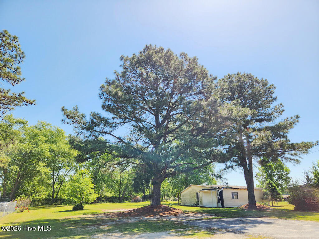 3941 Burnette Farm Road, Tarboro, NC 27886 — photo 5