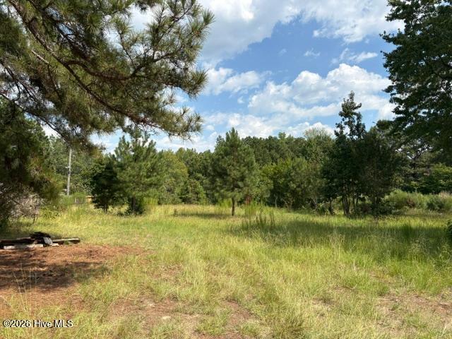3832 11 Watson Seed Farm Road, Whitakers, NC 27891