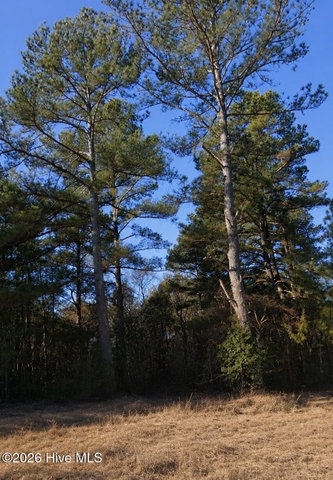 000 Roanoke Chapel Road, Littleton, NC 27850
