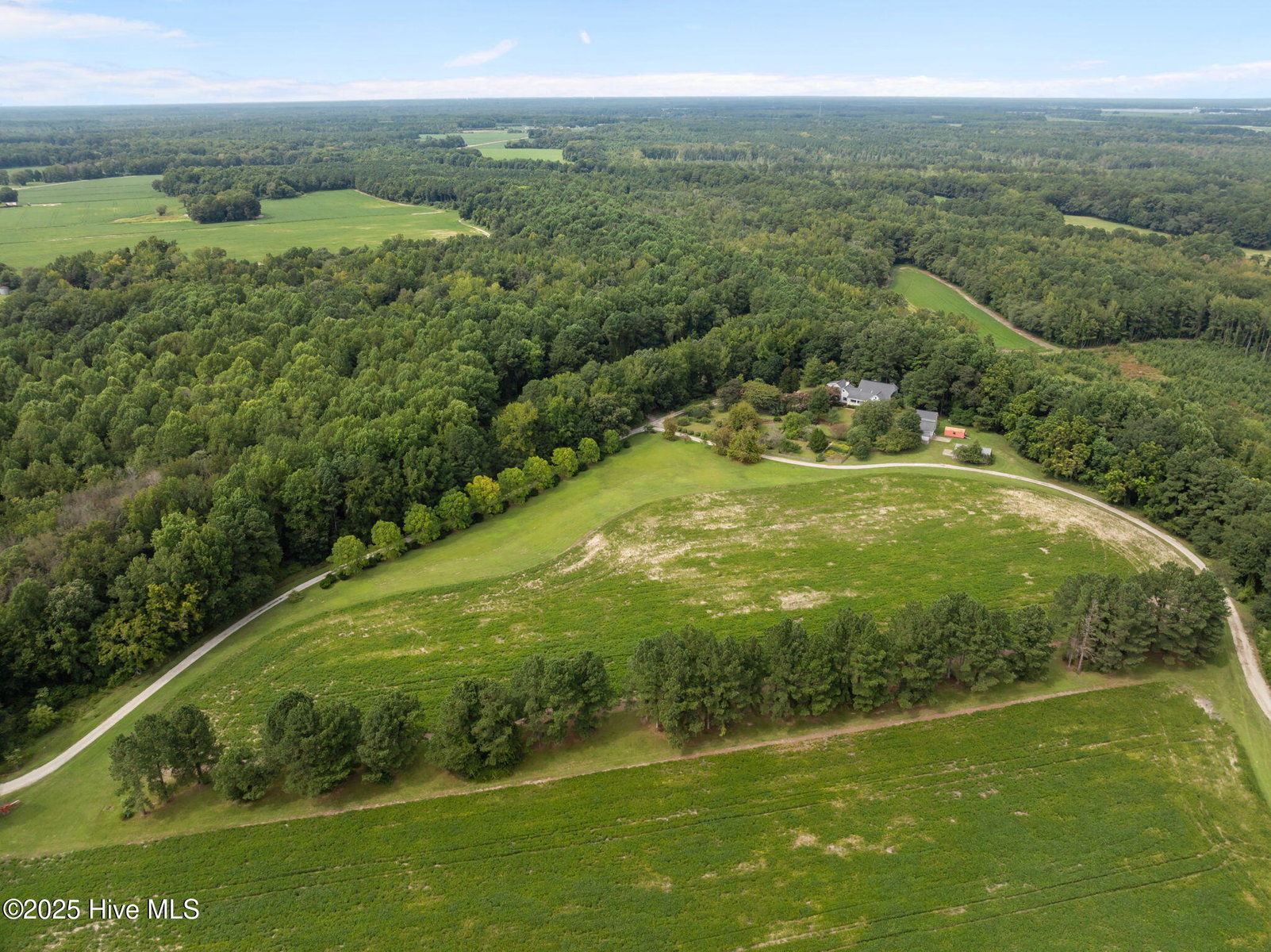 7464 Nc 43 N, Macclesfield, NC 27852 — photo 4