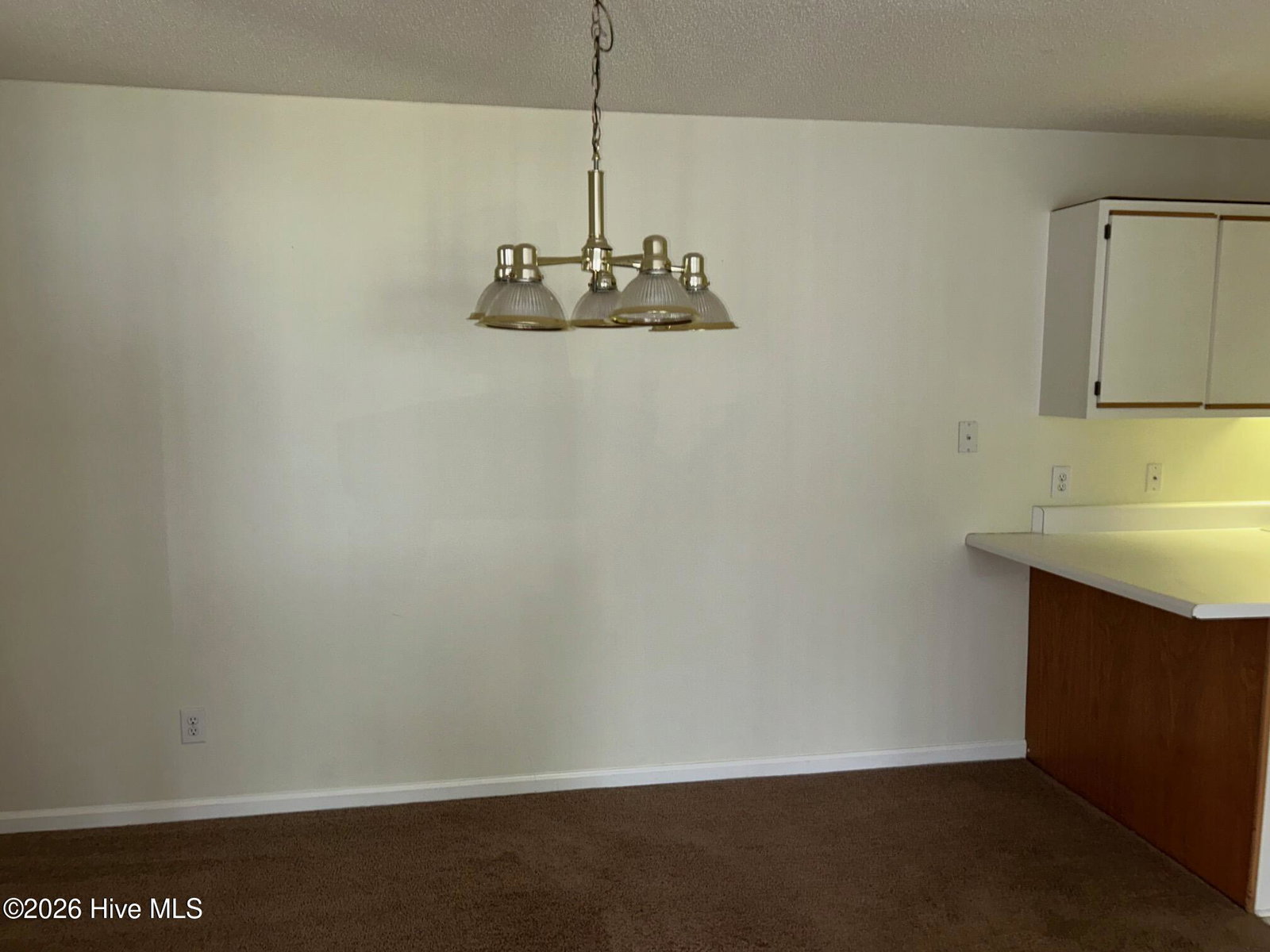 116 Breezewood Drive H, Greenville, NC 27858 — photo 4