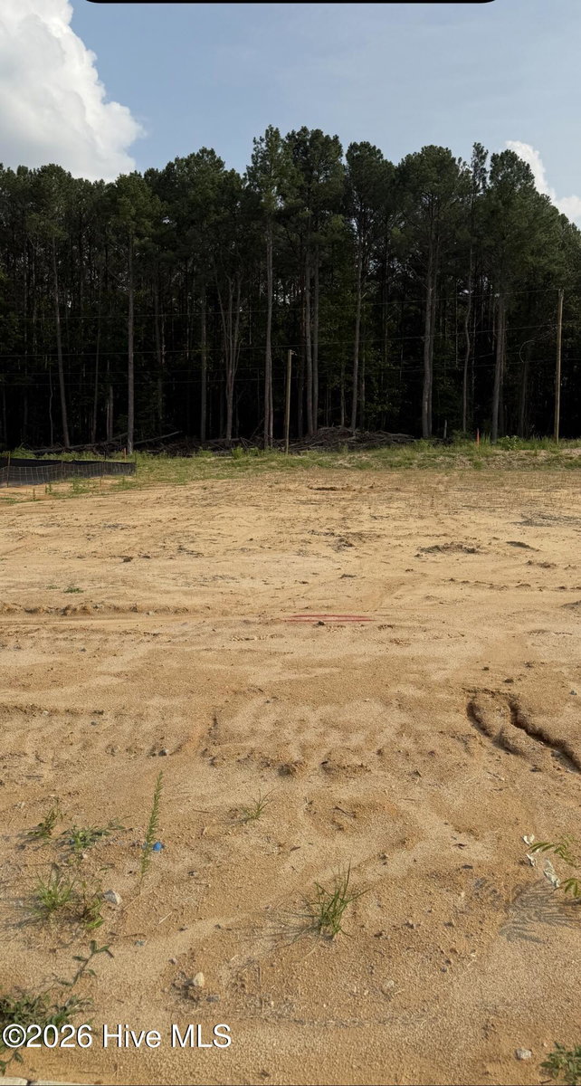 135 White Bark Avenue Lot 15, Rocky Mount, NC 27804 — photo 2